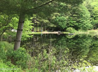 10 Mountain Ln, Chestertown, NY 12817