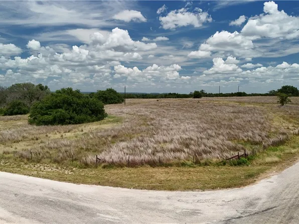 266 Miller Creek Blf, Briggs, TX 78608
