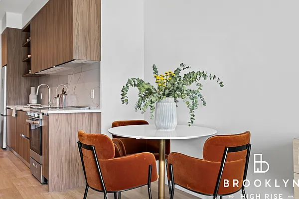 Rented by Brooklyn High Rise LLC | media 39