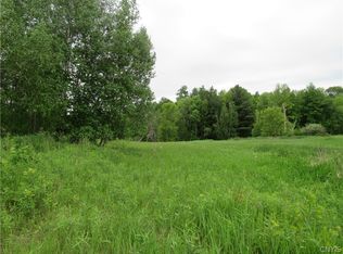 27 Lead Mine Rd #25, Redwood, NY 13679