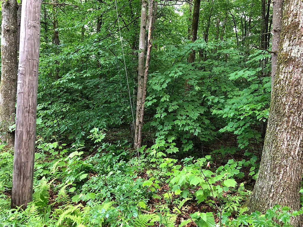 0 Norwalk, Berkshire, MA 01224 Zillow