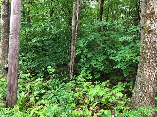 0 Norwalk, Berkshire, MA 01224