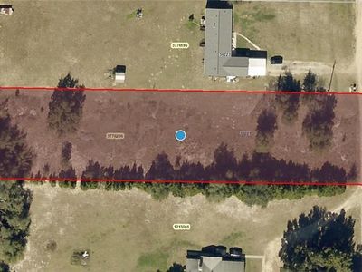 Apiary Rd, Grand island, FL, 32735