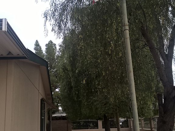 3rd image of 3538 W Rose Garden Ln