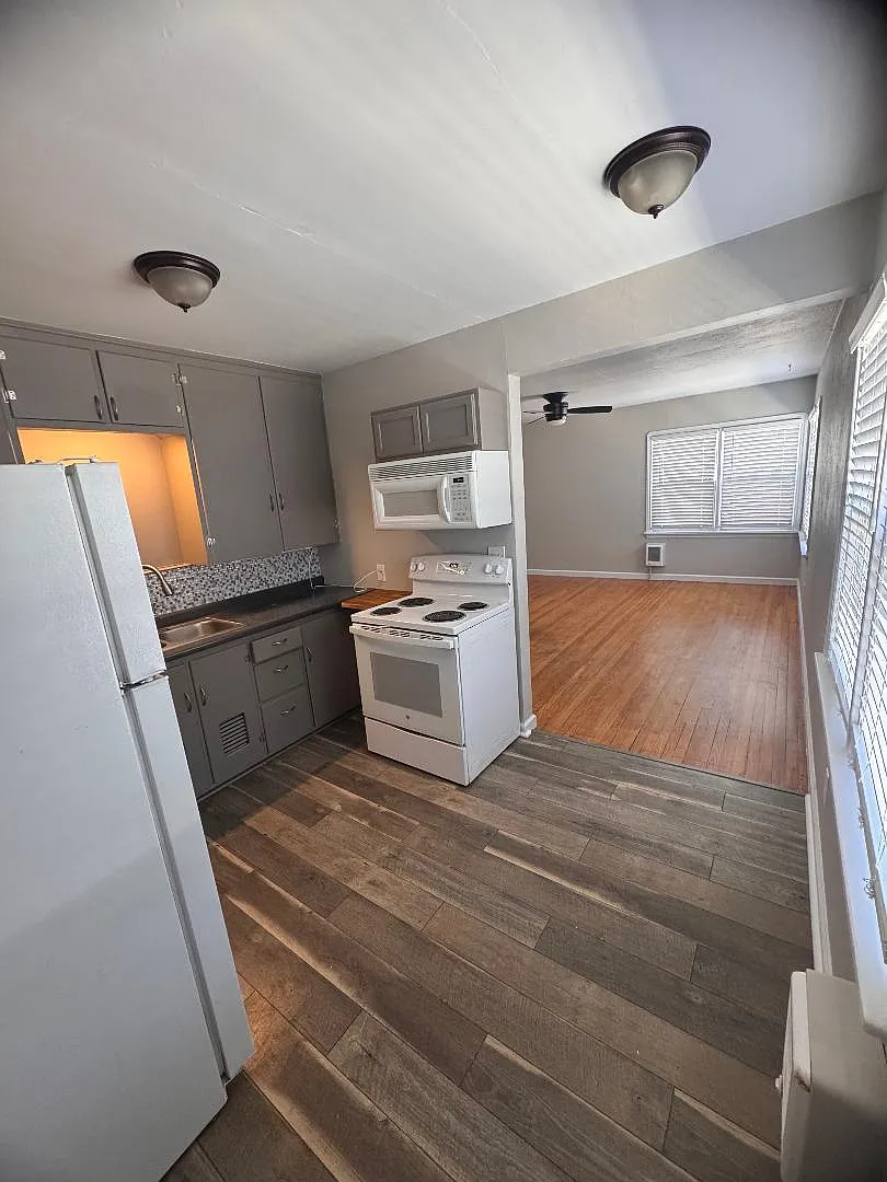 1 bed, 700 sqft, $1,450 — Photo 3
