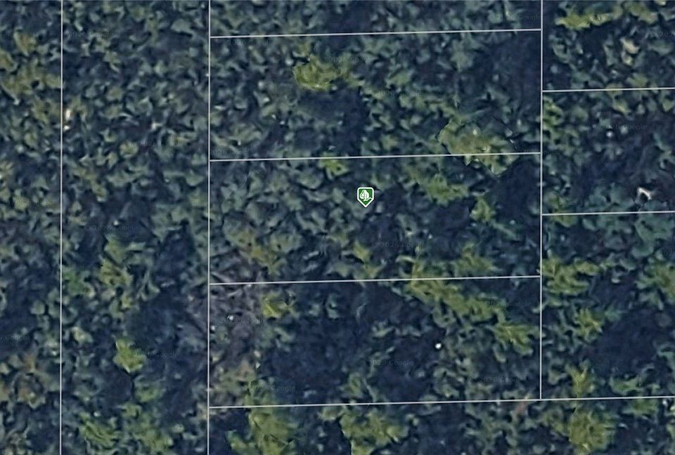 1st image of Evelyn Paper St