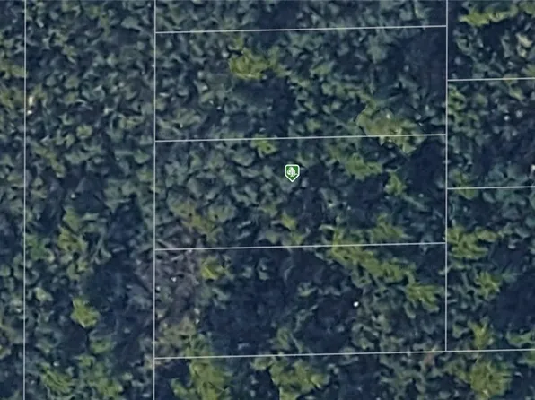 Evelyn Paper St, Deltona, FL 32738