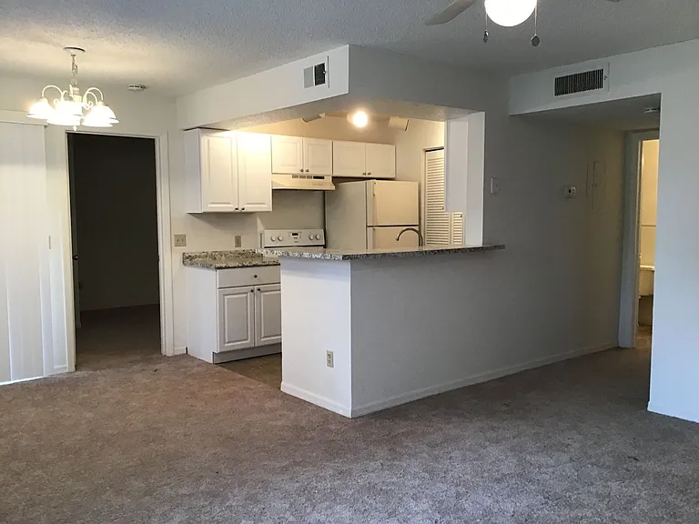 1029 S Hiawassee Rd #2412 — Photo 4