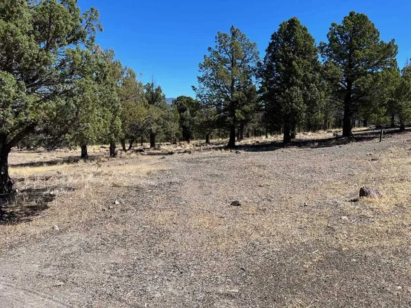 Unit 1 Brook Ln Lot 35, Weed, CA 96094