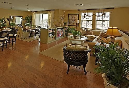 Living & Dining model