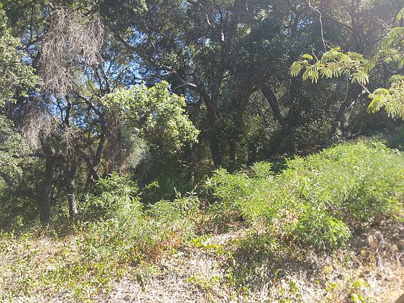 5th image of 16134 Placerita Canyon Rd