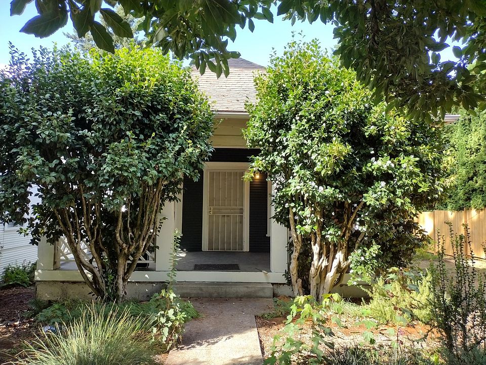 Front of house with Camellia bushes