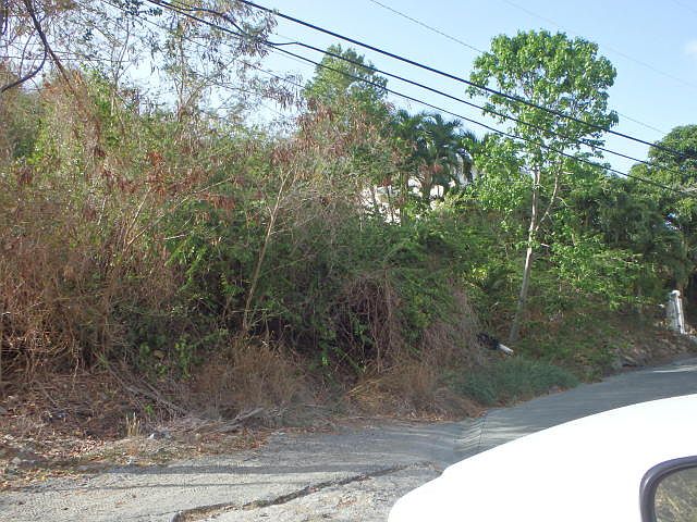 2nd image of MT Welcome #79