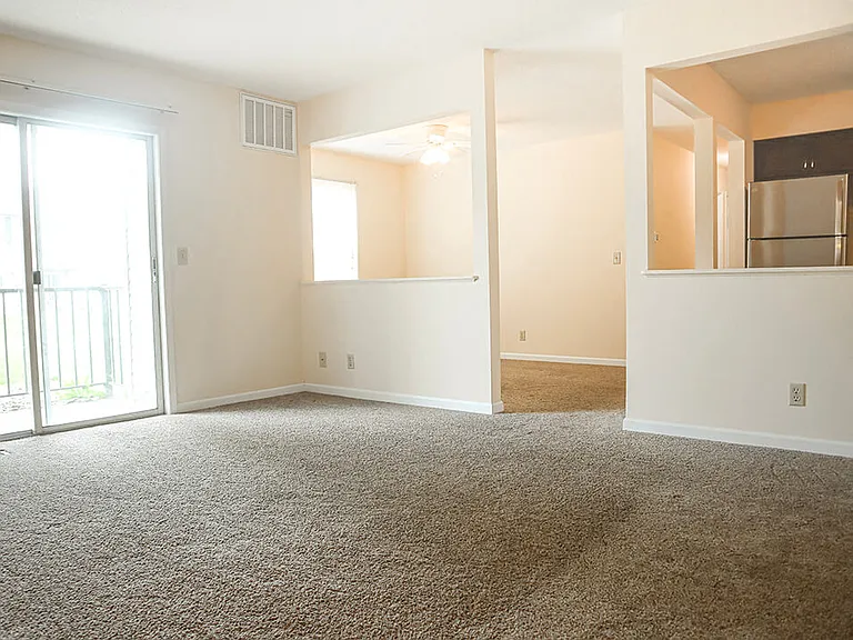 Living Room with Lots of Sunlight!