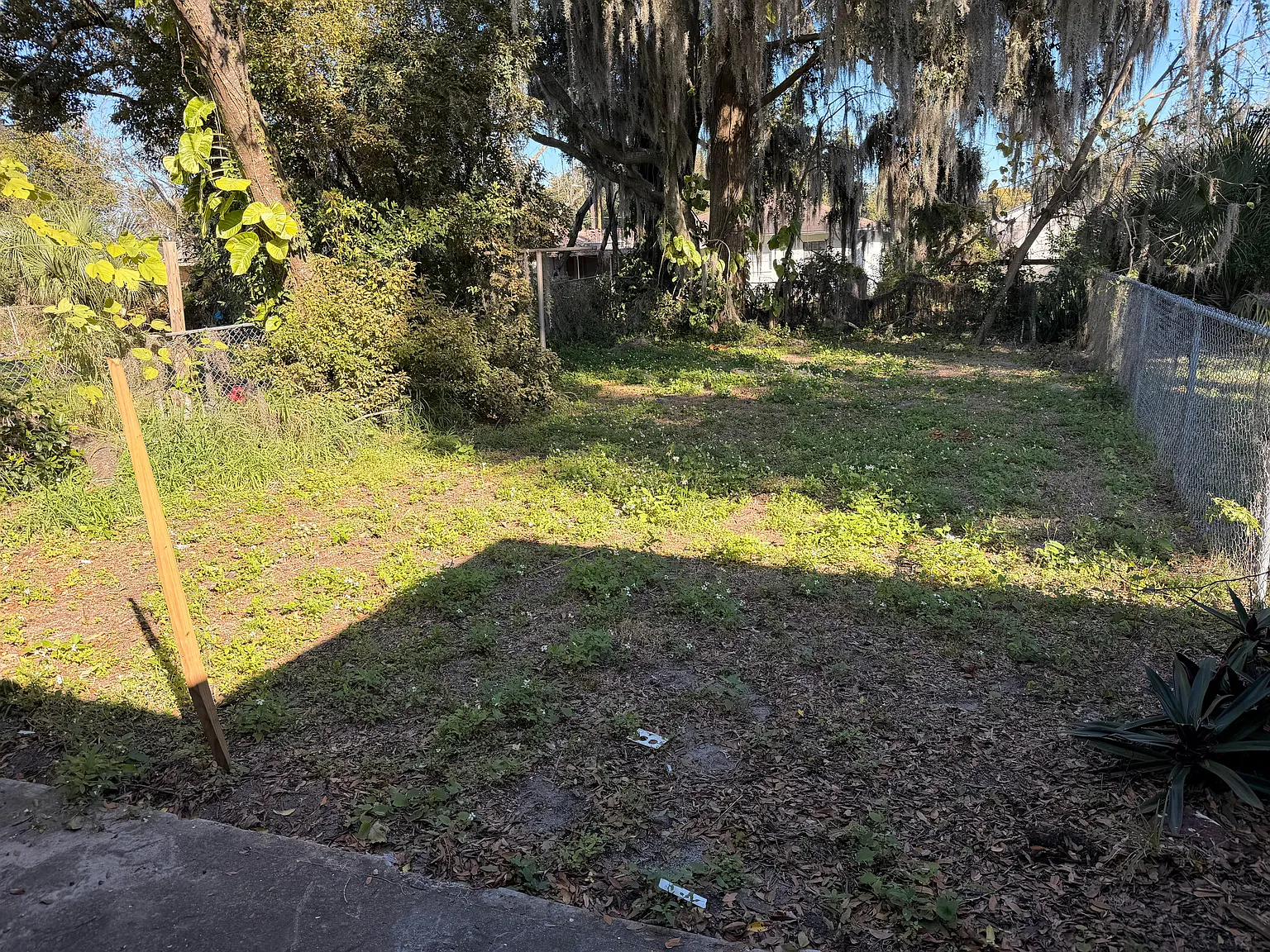 1 bed, 431 sqft, $1,450 — Photo 3