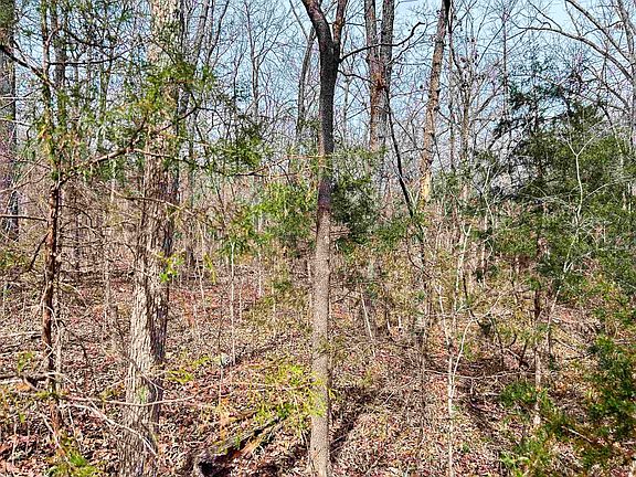 4th image of (Undisclosed Address)