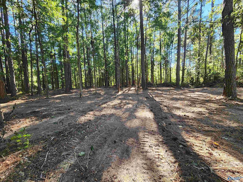 2nd image of 3 Dogwood Dr