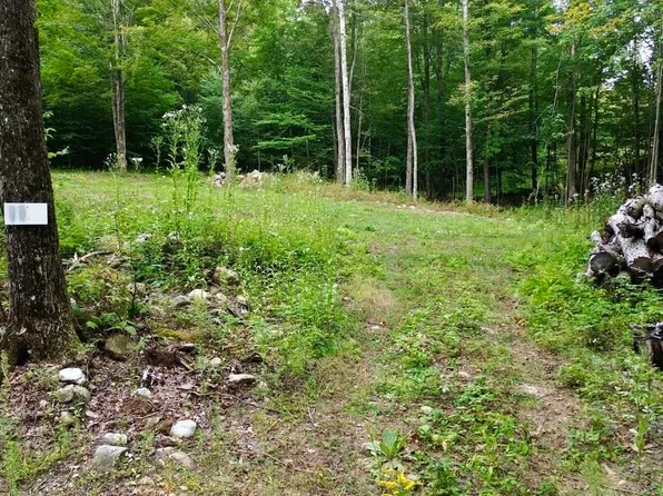 0 Pasquale Street Lot 11, Chittenden, VT 05737