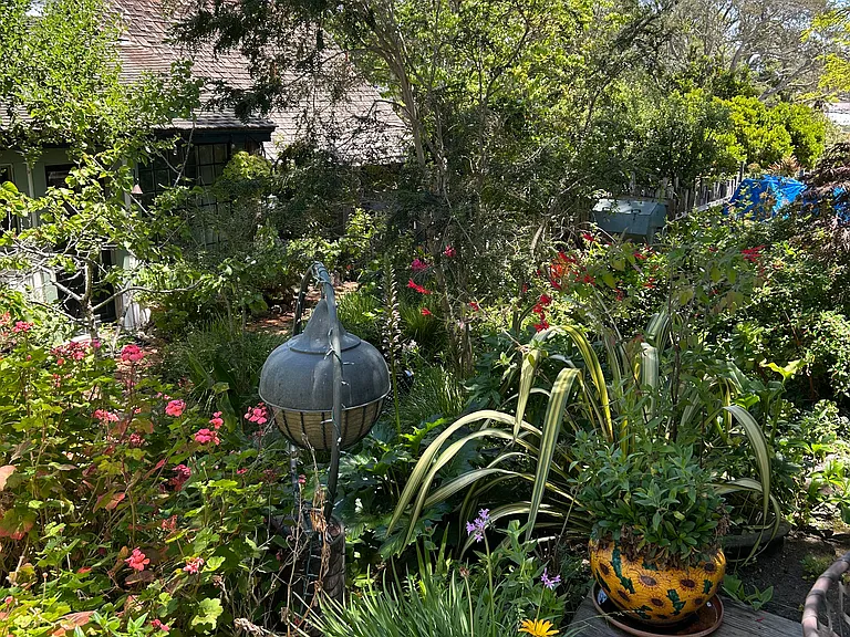 507 Dutra St — Photo 31