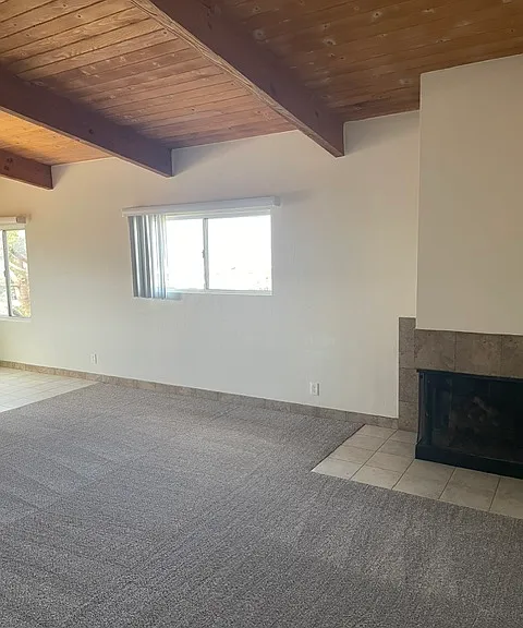 742 Poli St — Photo 10
