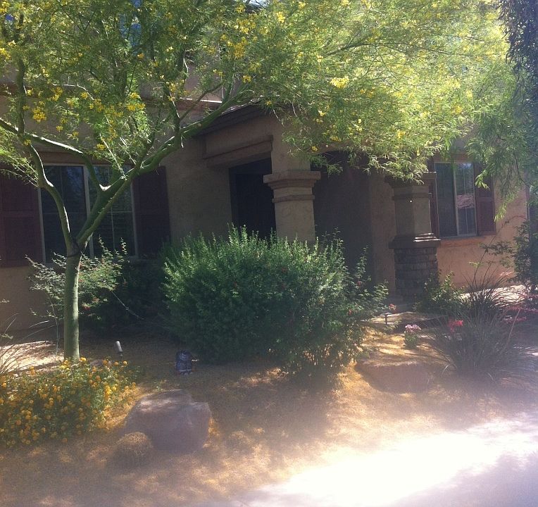 1st image of 2333 W Horsetail Trl