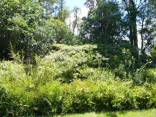 4th image of Sugarcane Ln Lot 62