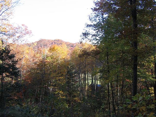 1st image of 15 Sanctuary Ln
