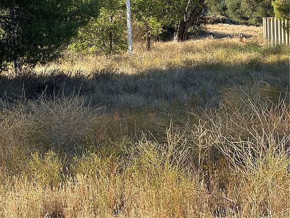 4th image of 44502 De Portola Rd
