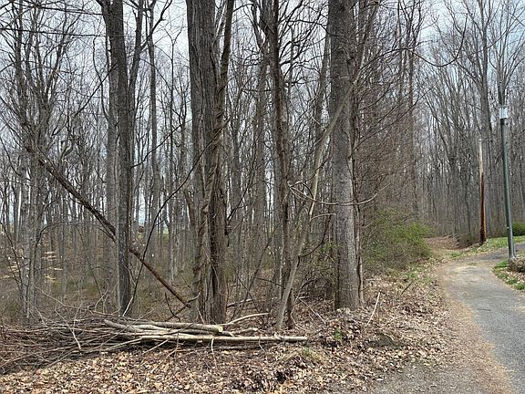 2nd image of Woodland Dr