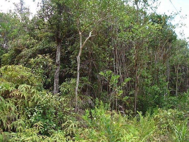 1st image of Road 6 Ooaa Lot 4417