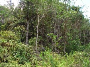 Road 6 Ooaa LOT 4417, Mountain View, HI 96771