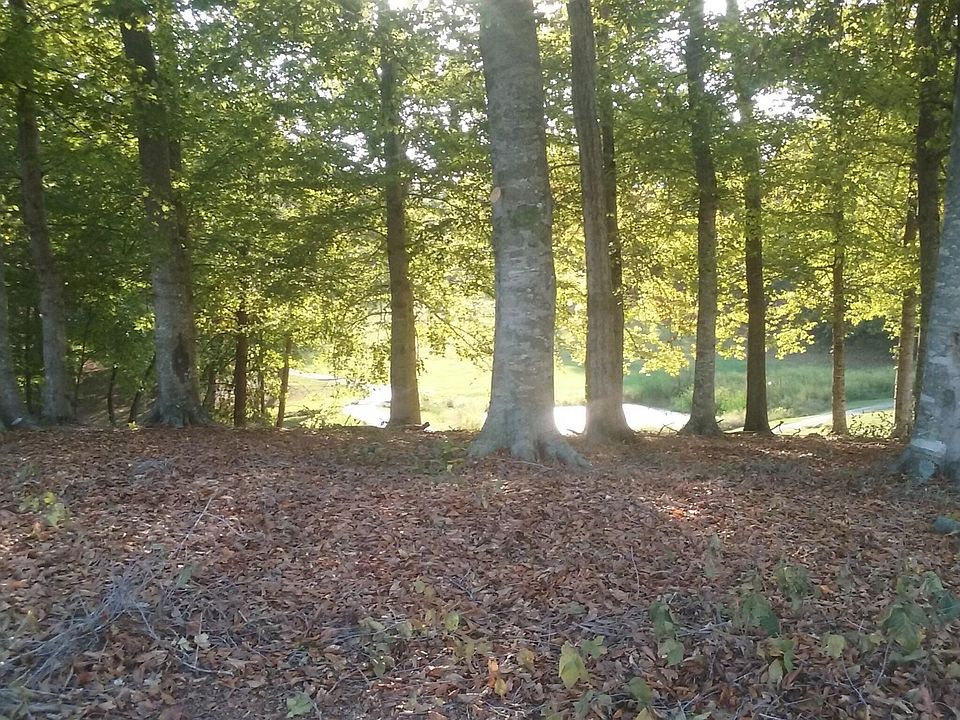 1st image of 2093 Deer Creek Trl