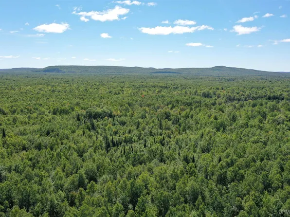 Lp Walsh Rd, White Pine, MI 49971