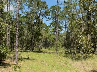 Tbd Sw Obee Ridge Rd, Dunnellon, FL 34431