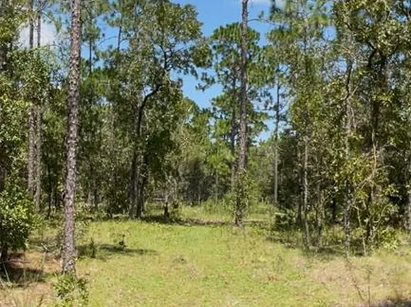 SW Obee Ridge Rd, Dunnellon, FL 34431