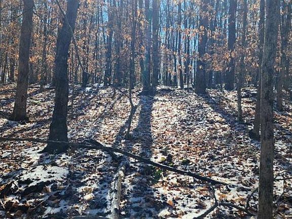 3rd image of 5500 Brookton Lula Rd #3