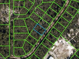 10319 Short Drive Rd, Sebring, FL 33875