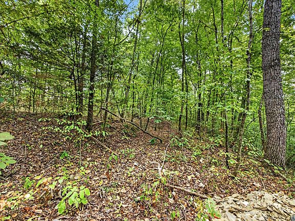 5th image of 0 Timber Ridge Ln
