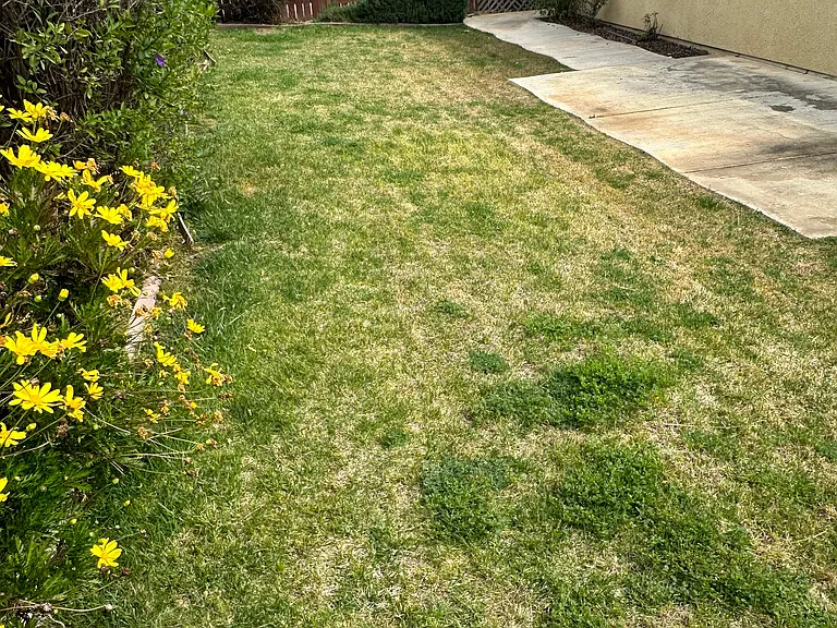 3607 Monroe Dr — Photo 17