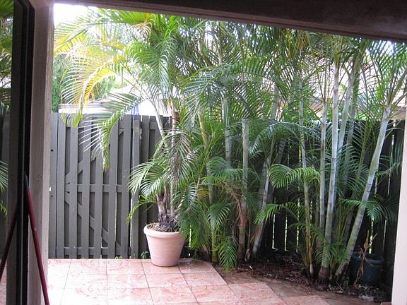 Backyard 2