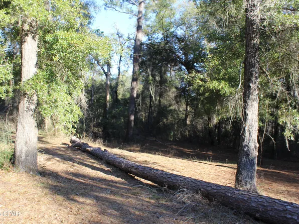 Reca Dr, Vernon, FL 32462