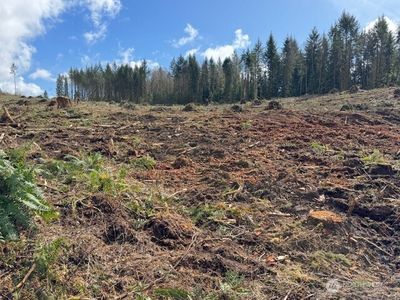 0 Lot 1 August Road, Chehalis, WA, 98532