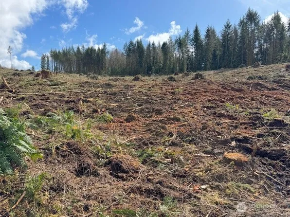 0 Lot 1 August Road, Onalaska, WA 98532