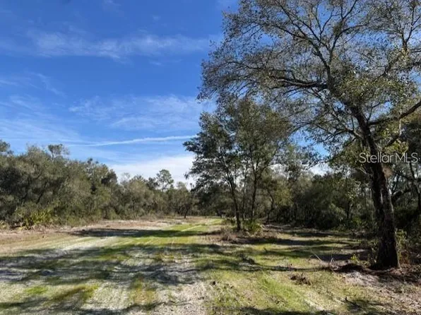 NE 150th Avenue Rd Lot 3, Fort Mc Coy, FL 32134