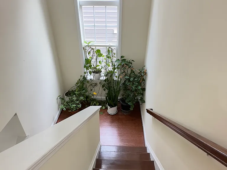 518 Shaw St — Photo 14