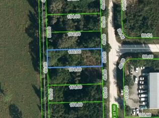 291 Hathaway St NW, Lake Placid, FL 33852