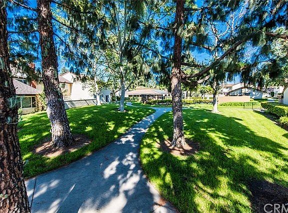 TRANQUIL TREE LINED WALKING PATHS