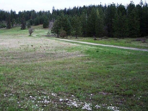 2nd image of 0 Valley Rd