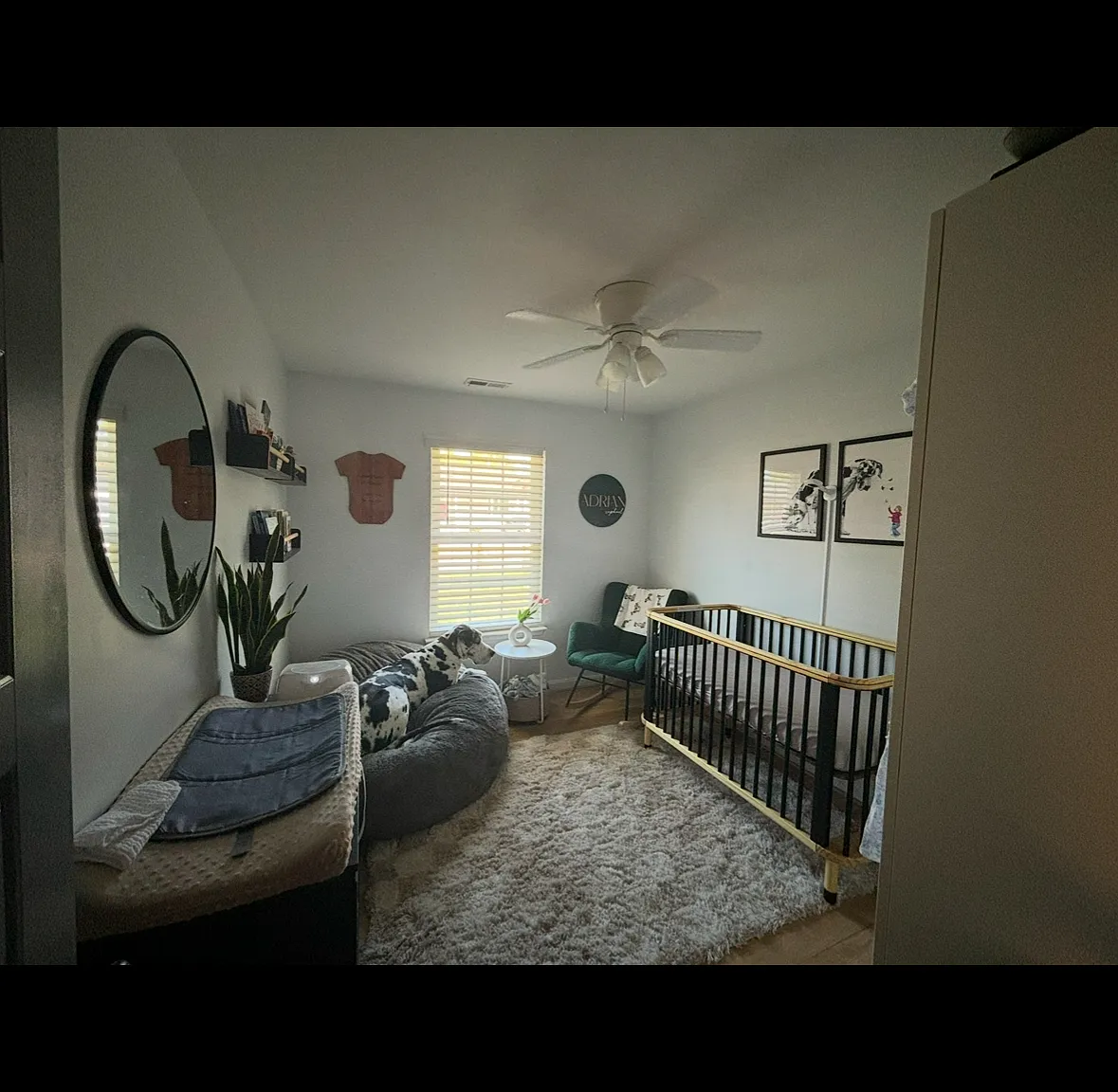 3 bed, 1016 sqft, $2,300 — Photo 4