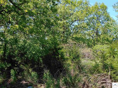 Lots 13 14 19 East Lake Hills Dr, Hermitage, MO, 65668